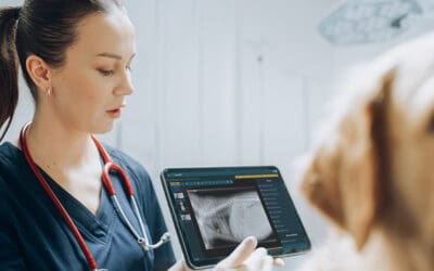 Unlocking Mysteries with Veterinary Advanced X-Ray Technology